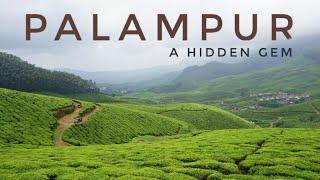 Palampur - Offbeat and Most Beautiful Tourist Place to Visit in Kangra, Himachal Pradesh