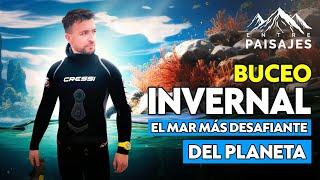 Buceo en el mar de Chile: apnea y autónomo desafiando gélidas costas 