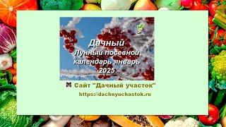 Лунный посевной календарь на январь 2025 года для садоводов, огородников и цветоводов