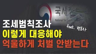 조세범칙조사 처벌 피하는 방법 /세무조사 대응법