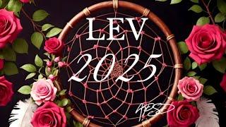 LEV  - rok 2025 - Velký výklad karet na energie roku 2025 a jejich vliv na toto znamení.️️️