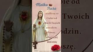 Matka Boża modli się za Ciebie od chwili Twoich narodzin.Proszę, ofiaruj jej dziś różę #maryja