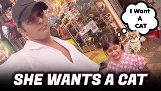 Bella wants a Cat | #twinbabydiaries @RealKVB