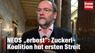 NEOS „erbost“: Zuckerl-Koalition hat ersten Streit | krone.tv NEWS