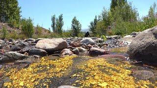 Golden River! These gold riches can be found in riverbed and under water.