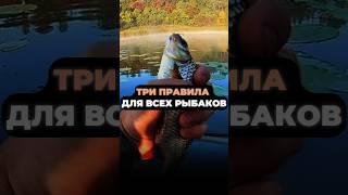 ТРИ ПРАВИЛА ДЛЯ ВСЕХ РЫБАКОВ, которые должен знать каждый #рыбалка #рыба #рыбак