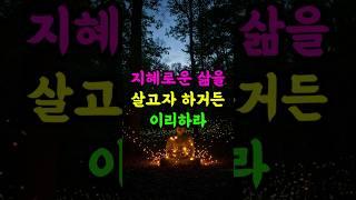 지혜로운 삶을 살고자 하거든 마음을 고요히 하라 #부처님말씀 #불교 #마음공부 #지혜 #명언