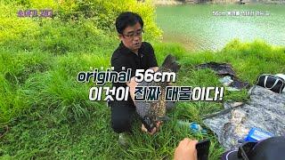 대물 중에 대물! 붕어 56cm