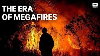 Extreme Wildfires | How megafires are reshaping forests