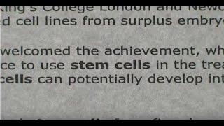 A Stem Cell Story