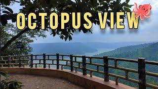 Octopus Viewpoint 2024   @flyingkungfuonmoto