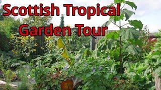 My Scottish Tropical Garden Tour 2023