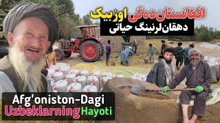 Afg'oniston-dağı uzbek dehqonlarining hayoti || Uzbek Tv