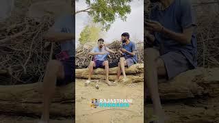 IPL का असर || Rajasthani Comedy Video || #ipl #ipl2024 #iplshorts #rajasthanihungama #jityakrishnya