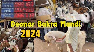 Deonar Bakra Mandi 2024 Vlog | Part 1 | deonar bakra mandi