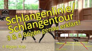 F139 Hufschlagfiguren: Schlangenlinien und Schlangentouren in 3 & 4 Bögen im Schritt, Trab & Galopp