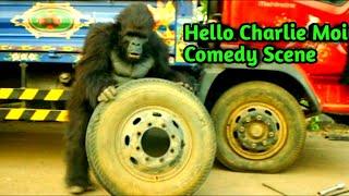 गोरिला ने बदला टायर - Latest Bollywood Moive - Hello Charlie (2021) Clip - Full HD