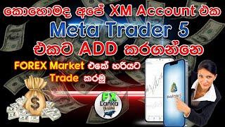 How to add Xm Account to Meta Trader 5 | කොහොමද අපේ XM එකවුන්ට් එක Meta Trader App එකට ඇඩ් කරගන්නෙ..