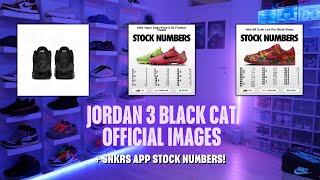 Air Jordan 3 Black Cat OFFICIAL IMAGES + EARLY STOCK