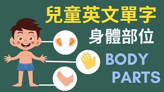 幼兒英文單字｜身體部位｜兒童英文學習｜中英文單字｜雙語教育｜Body Parts in Chinese