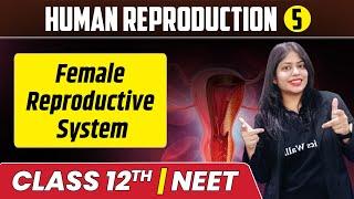 Human Reproduction 05 | Female Reproductive System | Class 12th/NEET