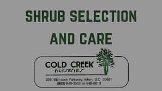 Shrub Selection and Care