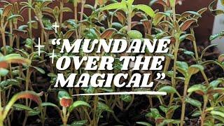 Let's Discuss: "Mundane Over Magical" - Thoughts from an Animist