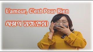 L'amour, C'est Pour Rien Harmonica Ver. 사랑의 감정(연심) 하모니카연주/Am&C&C#