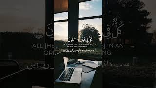 Tilawate Quran #quran #beutifulquran #quranrecitation #qurantilawat #ytshorts #india #pakistan