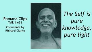 The Self is pure knowledge, pure light - Ramana Clips Talk # 626