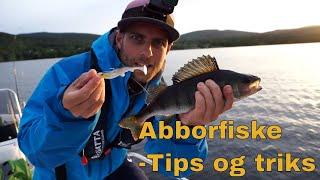 Abborfiske - Fisketips med jigg + Hvordan rense, flå og tilberede abbor / Perch fishing and cooking