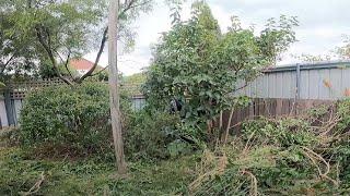 This Brings a NEW Meaning to MASSIVE Garden Cleanup | Rental Property Renovation