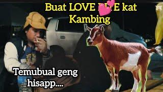 Buat LOVE BITEE kat KAMBING?