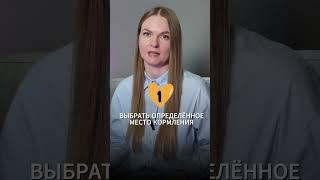 С чего начать завершение ГВ