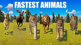 The Fastest Animals Speed Races in Planet Zoo included Cheetah, Lion, Moose, Cougar, Antelope, Lynx