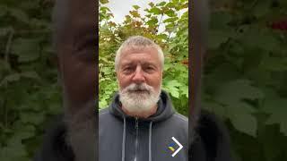  Актор Станіслав Боклан звернувся до українців на тимчасово окупованих територіях