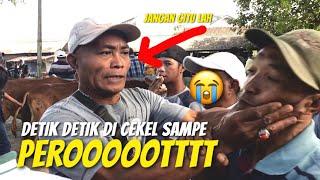 KASI4N️Detik-Detik di Cekel Sampe Perot, Nawar Sapi Paksa Akhirnya ini yang Terjadi