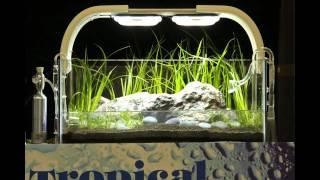 TMC Bristol George Farmer Planted Tank