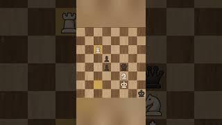 Chess puzzle - Finding Queen's blindspot #chess #chesspuzzle #chesstalks #chessshorts #chesscom