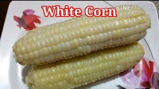 Boiled Corn on a Cob || My Favorite Snack