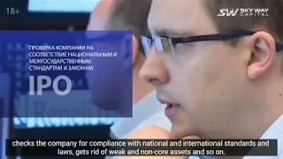 SKYWAY-  From Start up to IPO