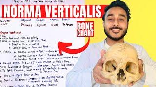 norma verticalis anatomy 3d | anatomy of norma verticalis of skull anatomy