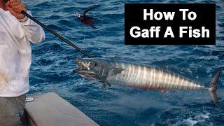 How To Gaff A Fish: Mistakes, Choosing The Right Size Gaff, & More