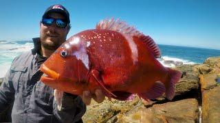 Catching Tomatoes From The Rocks - How To Catch Deep-Sea Fish From The Shore