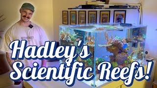 A marine scientist and his reef tanks. Hadley from Sydney Reefing!