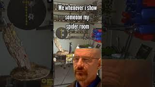 #gavstarantulas #comedy #tarantula #spiderlife #heisenberg #walterwhite #breakingbad #fypage