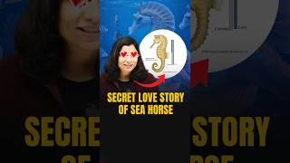 NEET Concept | Secret Love Story of Sea Horse #neet #neetbiology #neetbiologypreparation