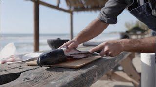 Black Cod beach cookout | by E-fish's Jeff Tedmori