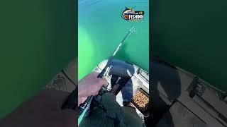 Unexpected Surprises in Wild Fishing।। fishing video।। #short #Leisurewildfishing