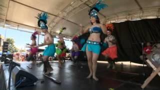 Pasifika Vibes Festival 2014